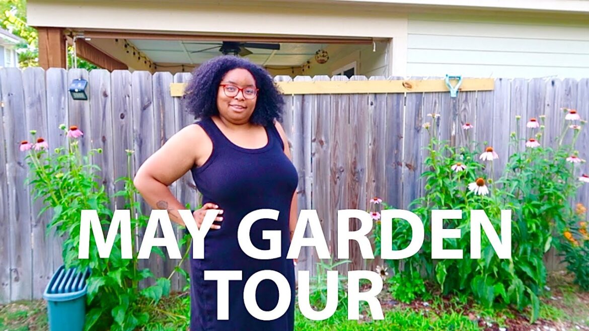 FULL Backyard Garden Tour | Zone 8A | May 2024 | So lush & green! FULL Backyard Garden Tour | Zone 8A | May 2024 | So lush & green!