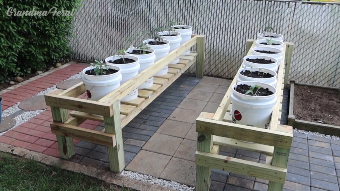 Grandpa’s New 5 Gallon Bucket Garden! Container Gardening Grandpa's New 5 Gallon Bucket Garden! Container Gardening