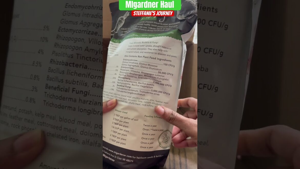 Check Out What I Ordered From @MIgardener | Mini Garden Supply Haul || Steffanie’s Journey Check Out What I Ordered From @MIgardener | Mini Garden Supply Haul || Steffanie’s Journey