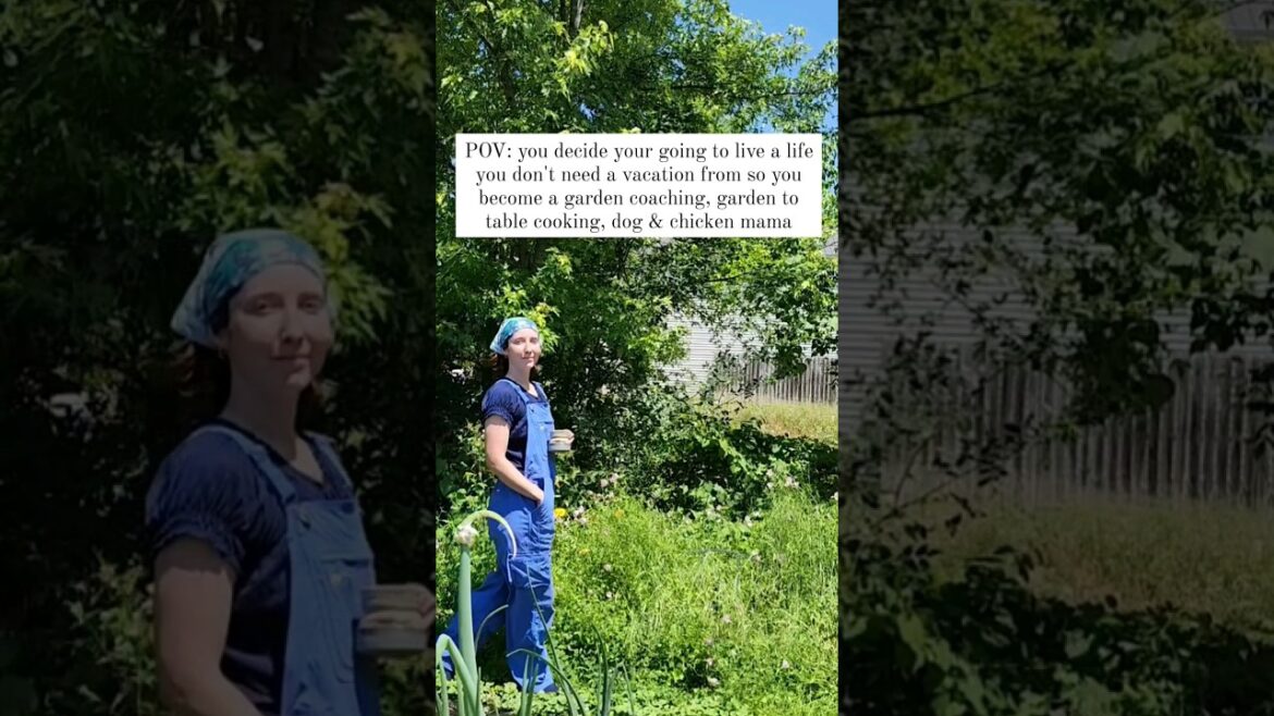 Grow Your Life As A Beginner Gardener! Grow Your Life As A Beginner Gardener!