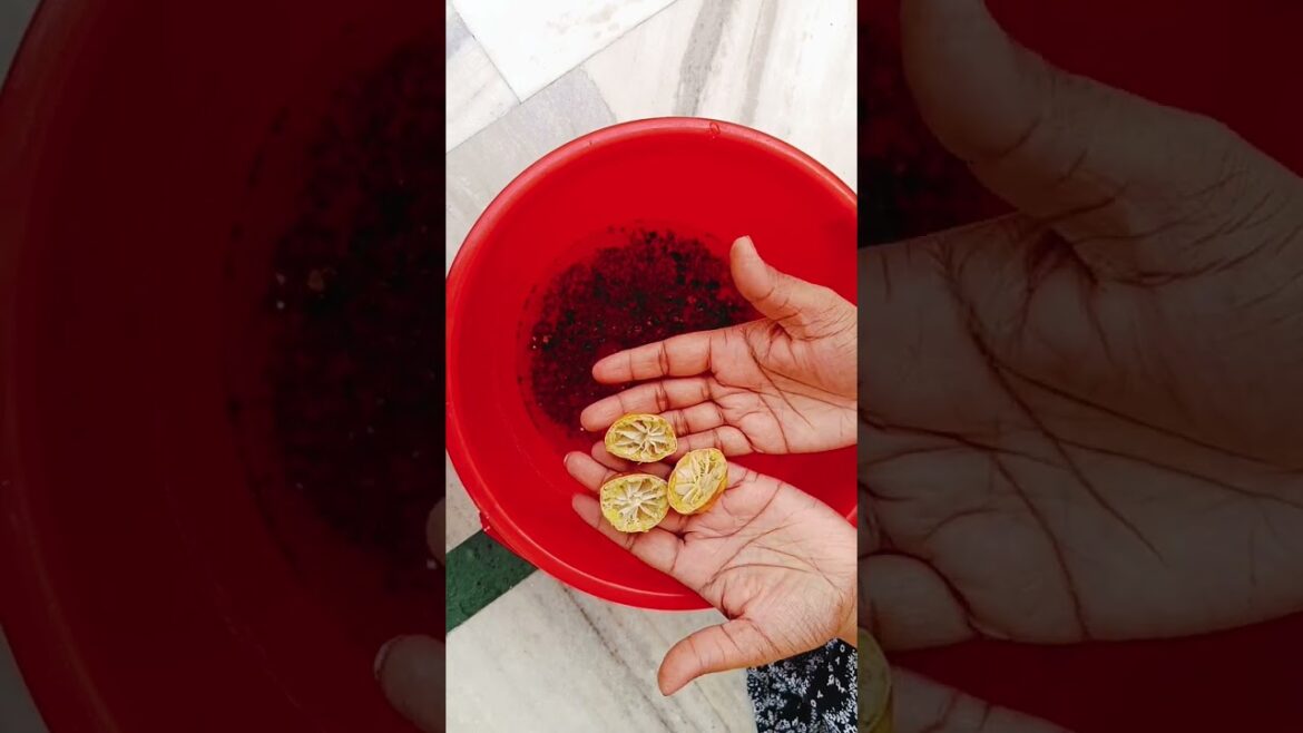 Free and powerful organic fertilizer #gardening #organic