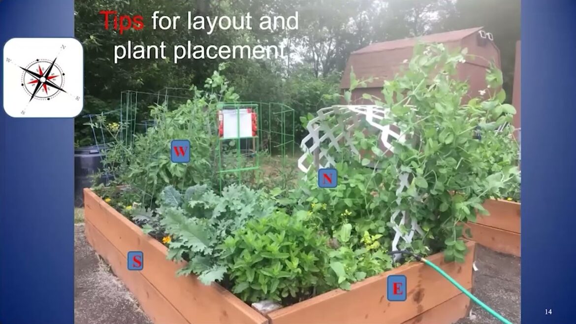 Raised Bed Gardening Tips & Tricks with OSU Master Gardeners 2024 Raised Bed Gardening Tips & Tricks with OSU Master Gardeners 2024
