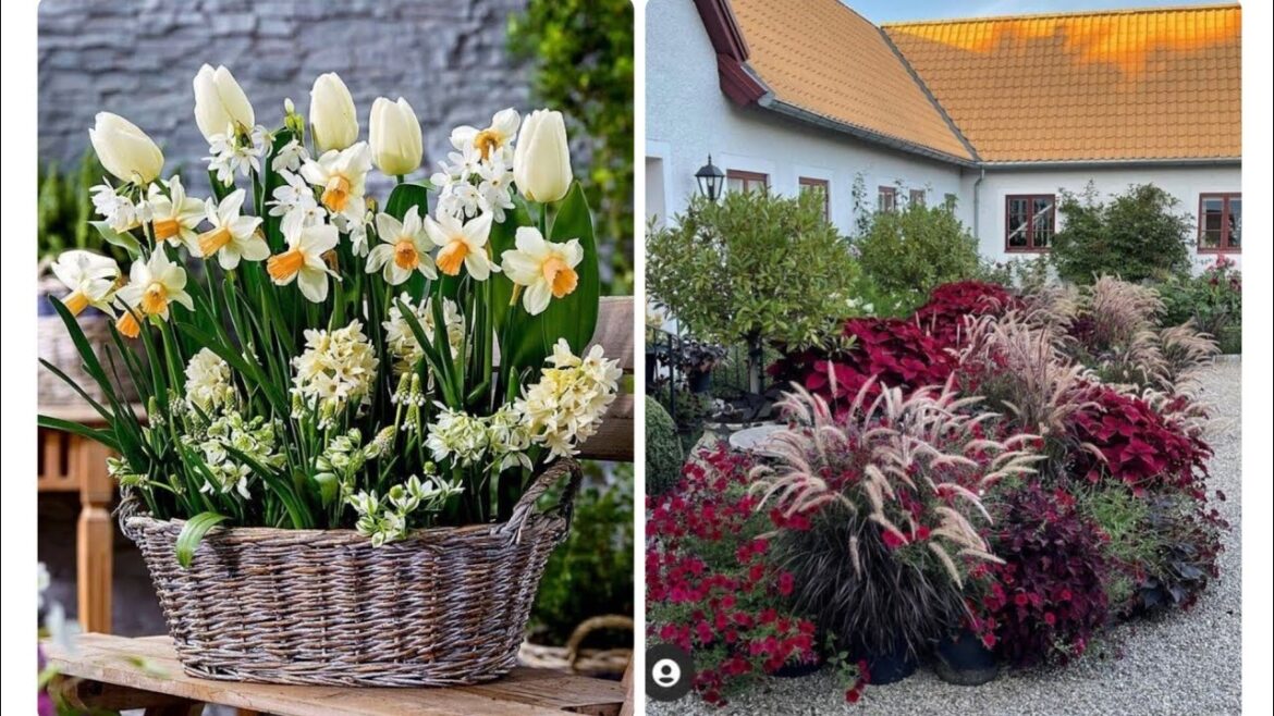 Ideas for small garden design | Small yard landscaping ideas