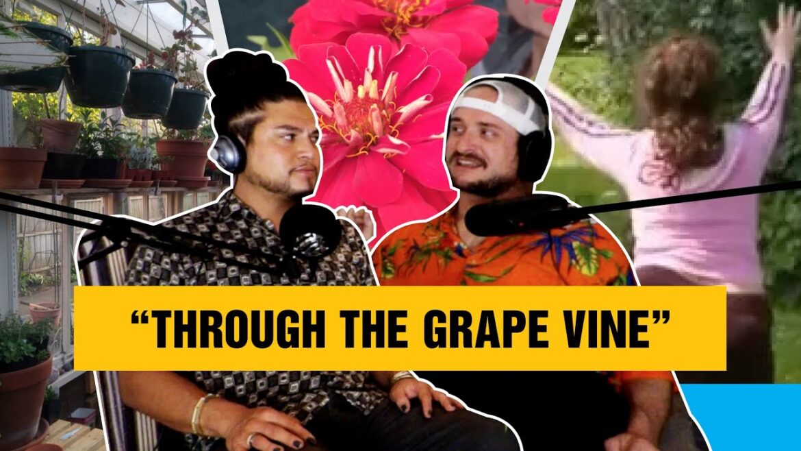 Backyard Garden Updates and “EXTREME CHEAPSKATES” Reactions!