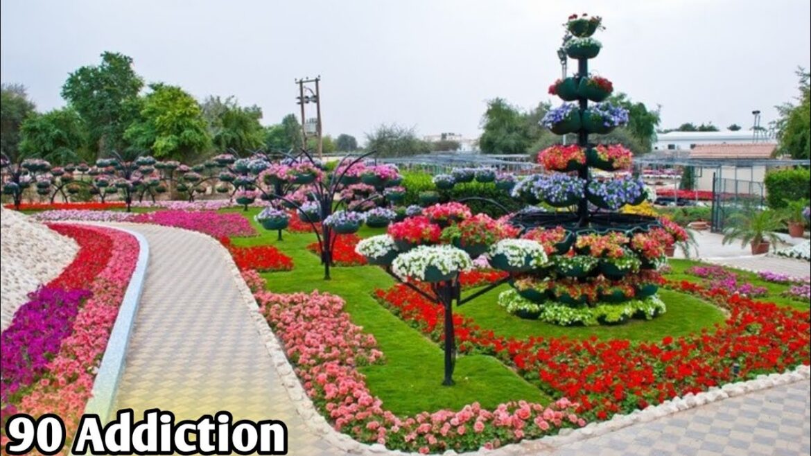 2024 Big garden backyard and pathways design//Landscape and yard ideas!50