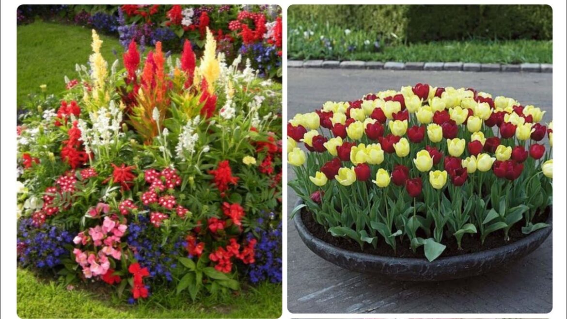 Ideas for small garden design | Small yard landscaping ideas