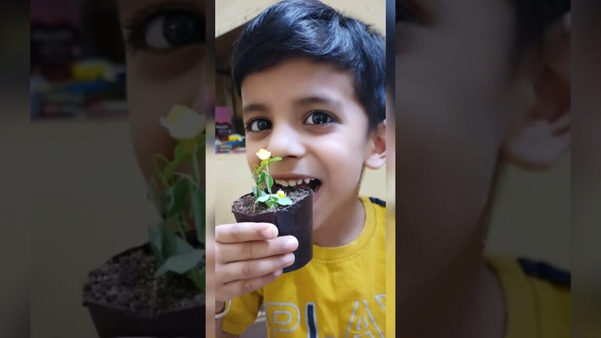 भूखा बच्चा पूरा गमला खा गया।#edible  chocolate planter cake #trending #viral #environmentday