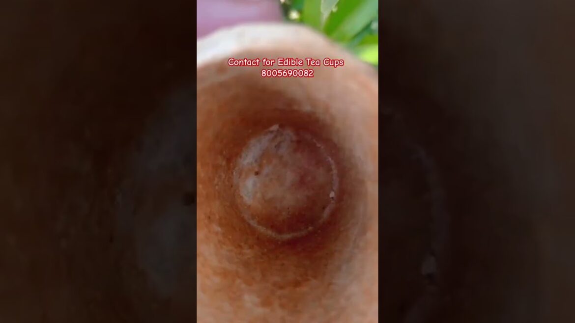 Contact for Edible Cups 8005690082 #rj18 #rj18cups #rj18ediblecups #viral #trending Contact for Edible Cups 8005690082 #rj18 #rj18cups #rj18ediblecups #viral #trending