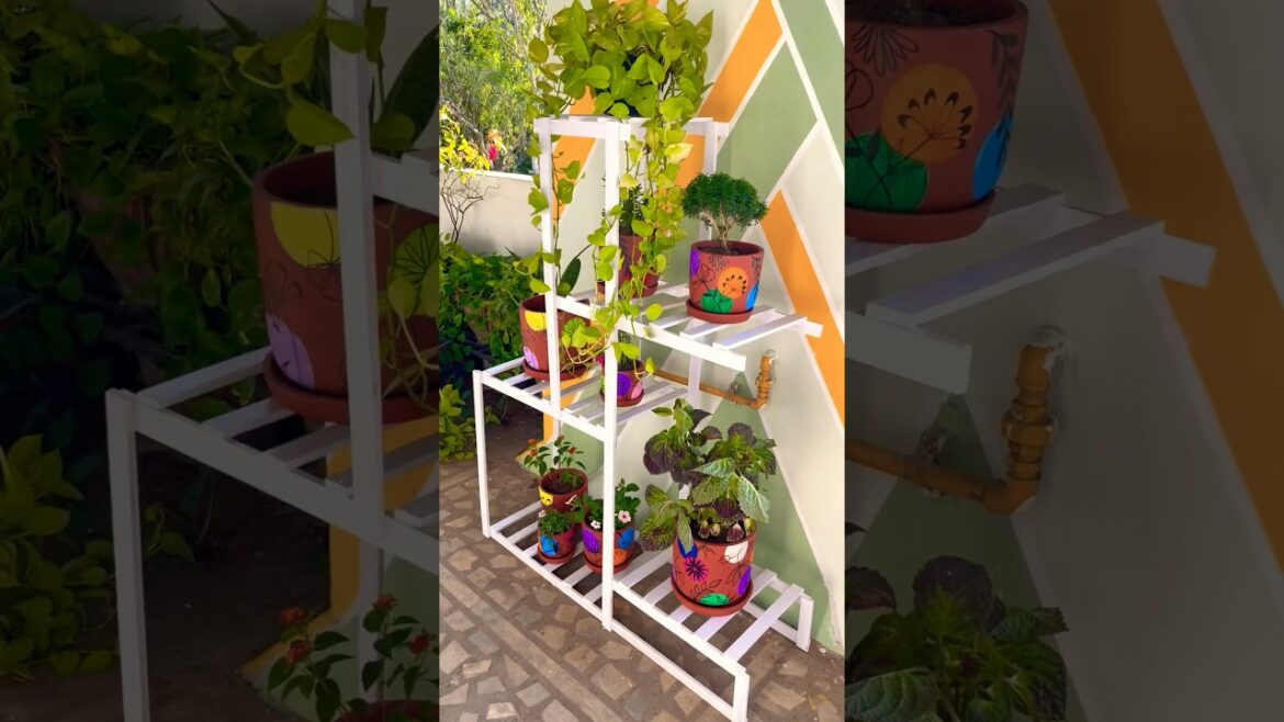 Part-4 Terrace garden makeover diy #gardenmakeover #makeover #terracegarden #shorts #youtubeshorts