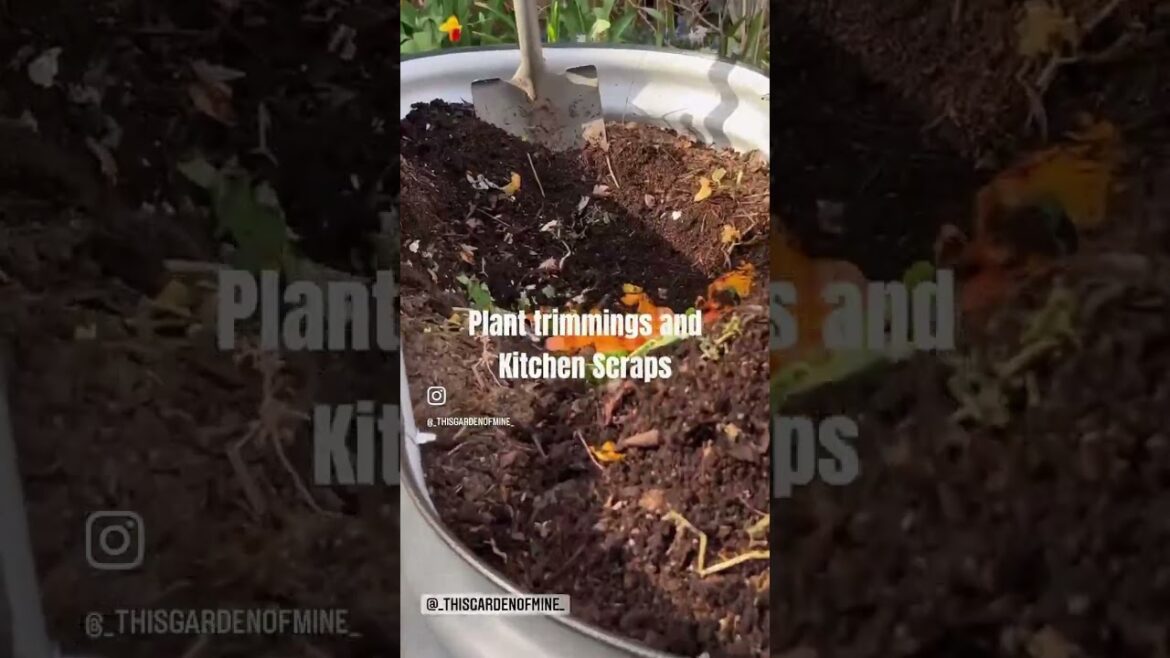 How to Save Money Filling a Raised Garden Bed #raisedgardenbed #gardening #short #cobt #garden