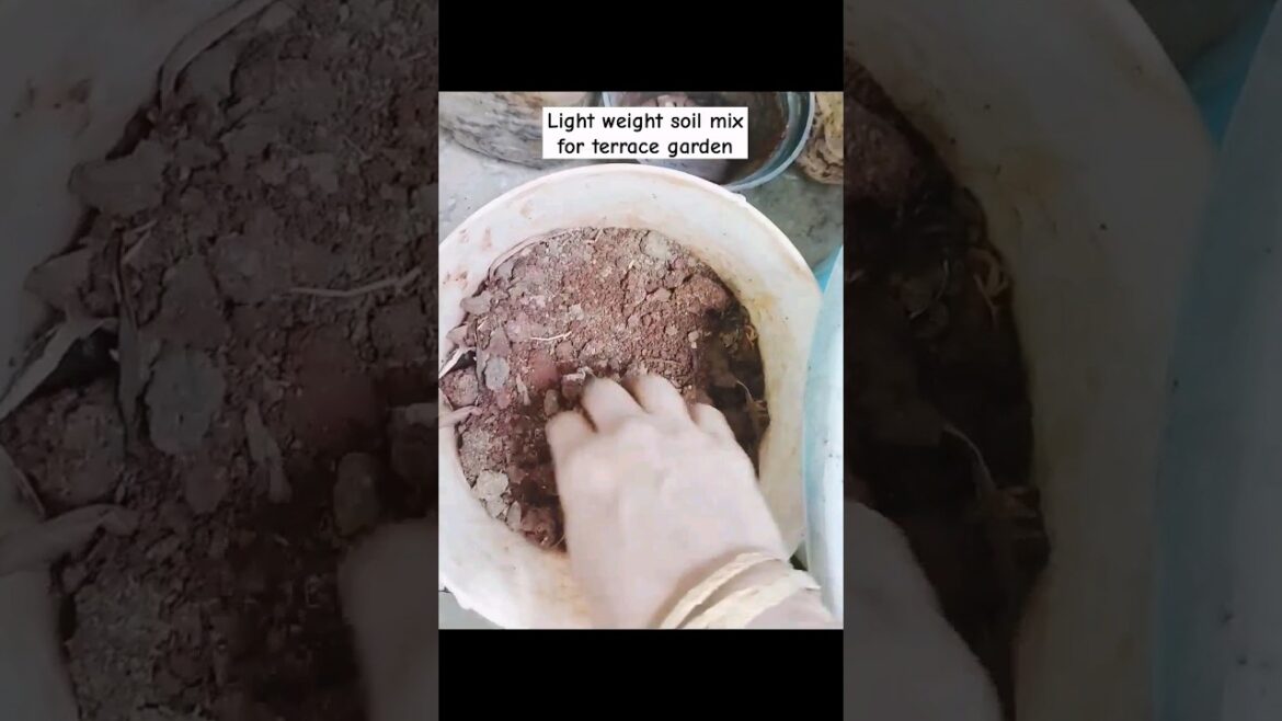 soil mix light weight for vegetable gardening #shorts #trending #naturalfarming #organicgardening