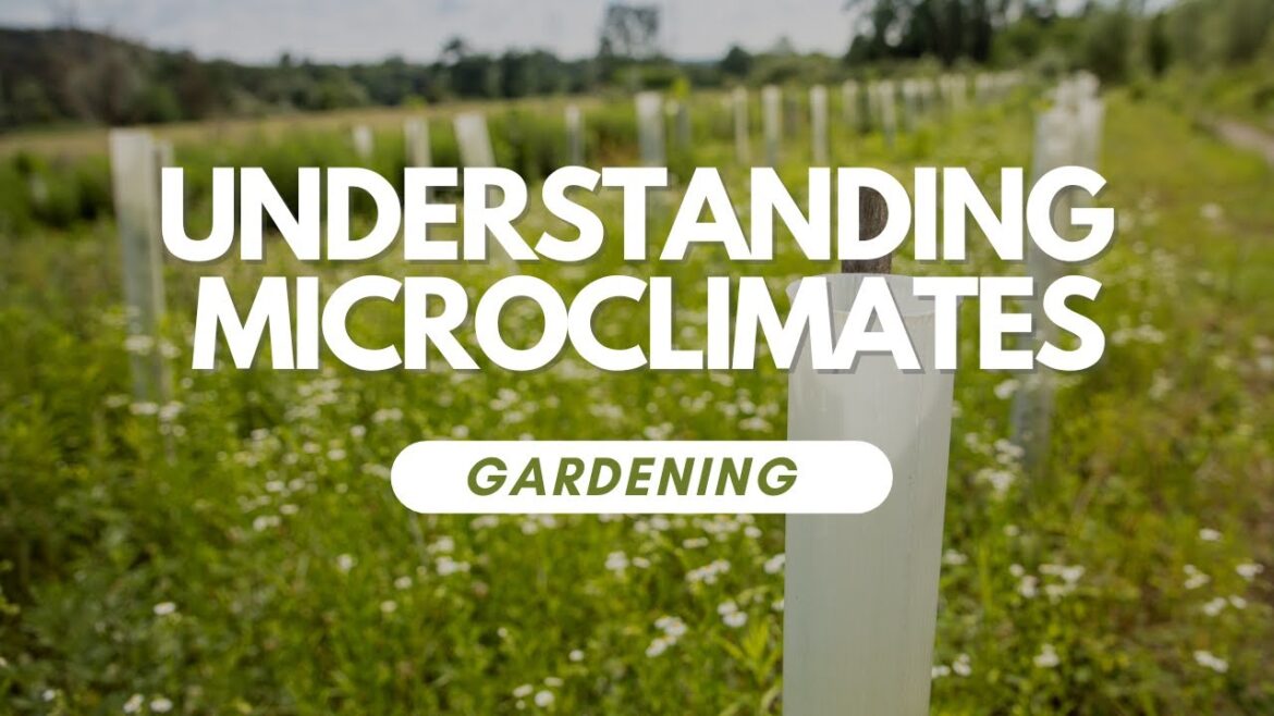 Understanding Microclimates In Your Garden Understanding Microclimates In Your Garden