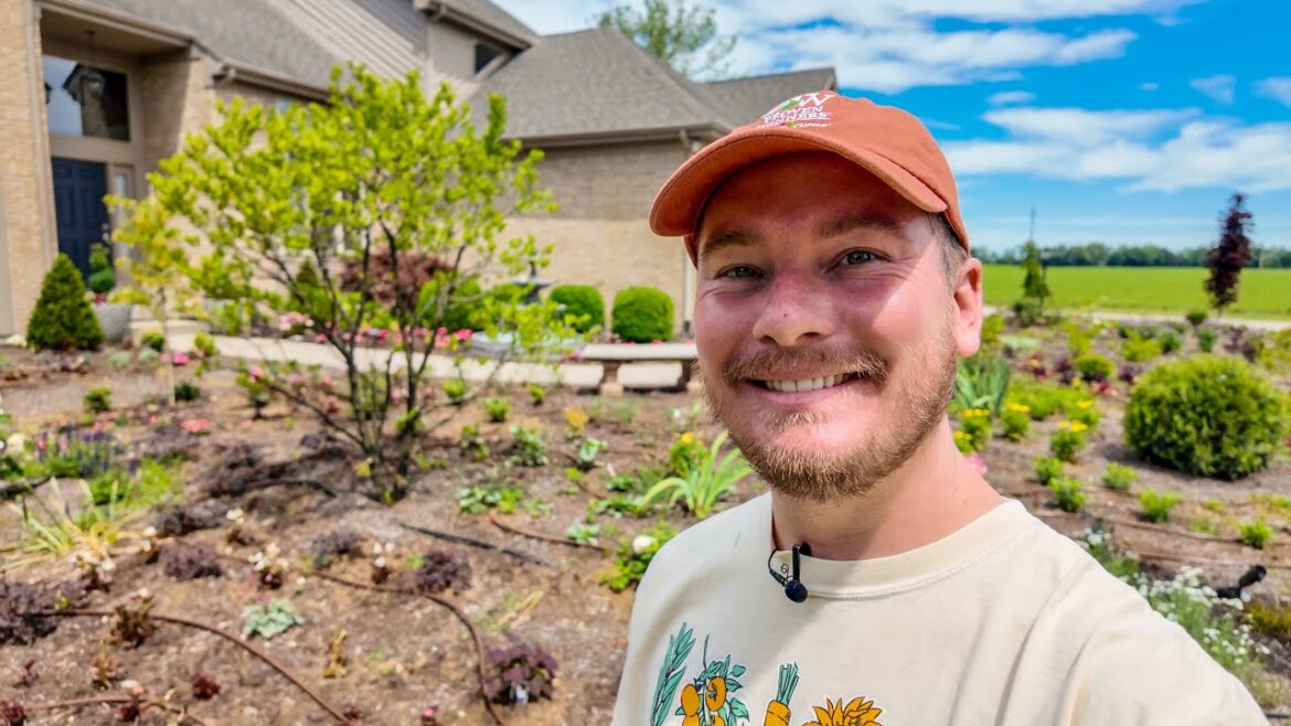 New Proven Winners Perennials for 2025 | The Southerner’s Northern Garden New Proven Winners Perennials for 2025 | The Southerner's Northern Garden