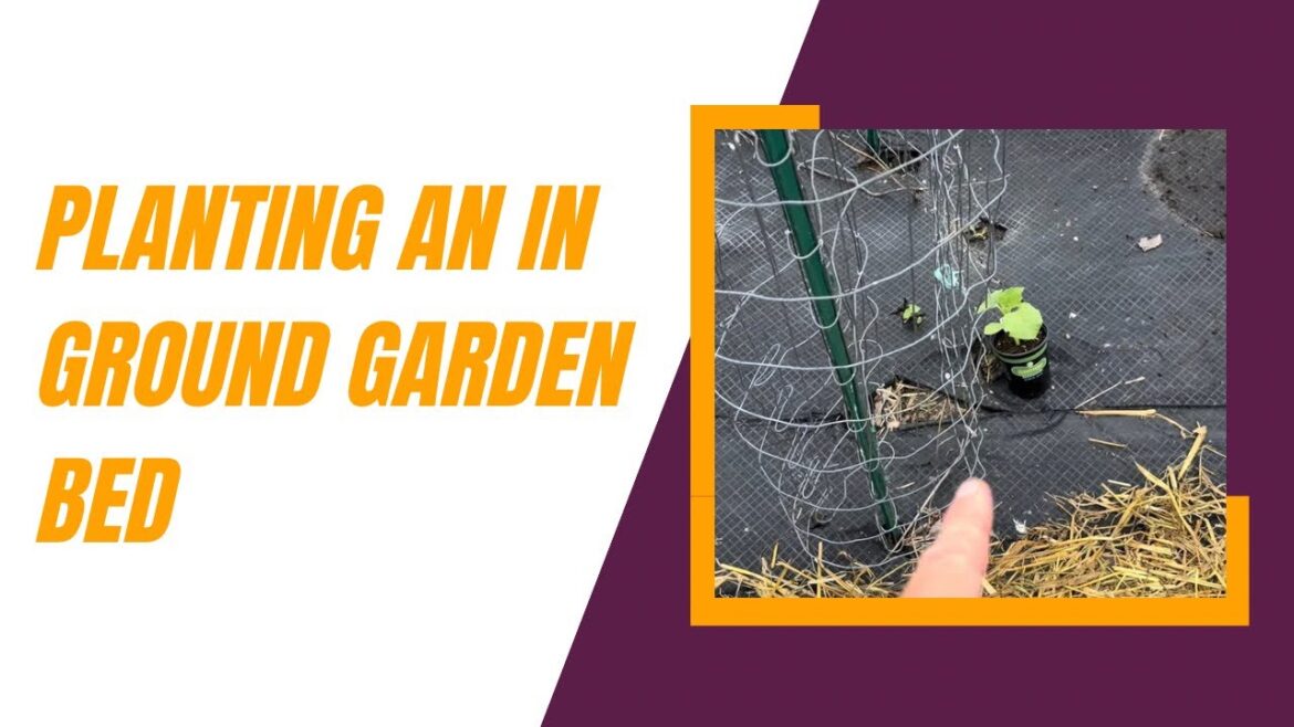 How I Planted my in Ground Vegetable Garden Bed #garden #gardening #vegetablegardening