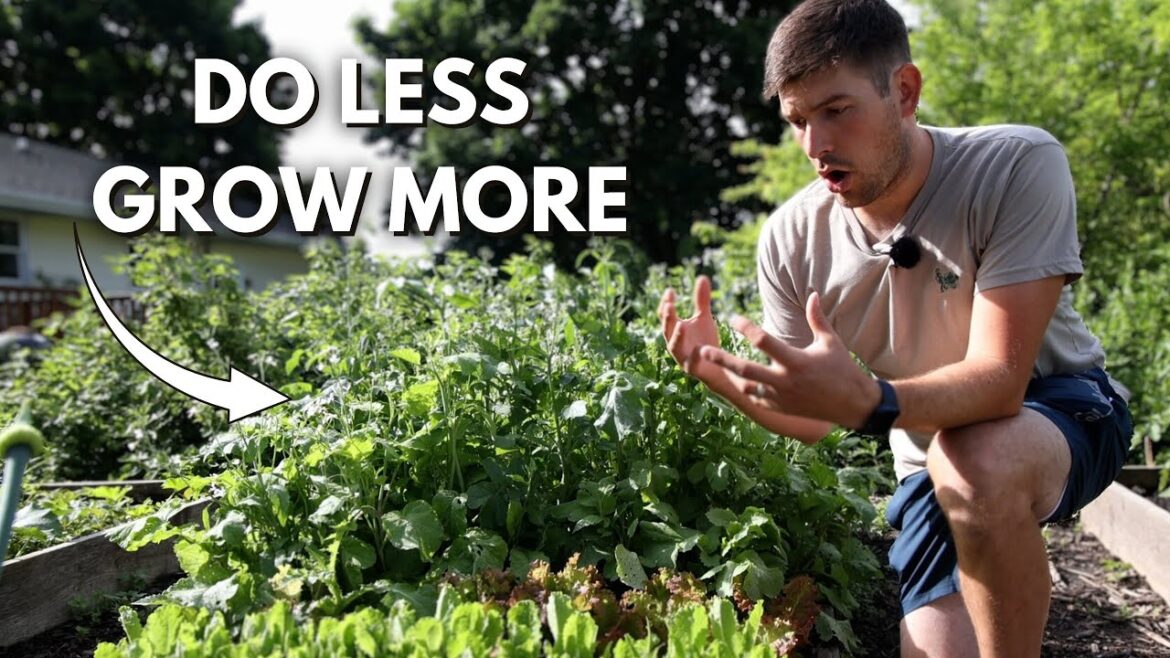 MIgardener: Do LESS of These Two Things to Get Better GROWTH! Do LESS of These Two Things to Get Better GROWTH!