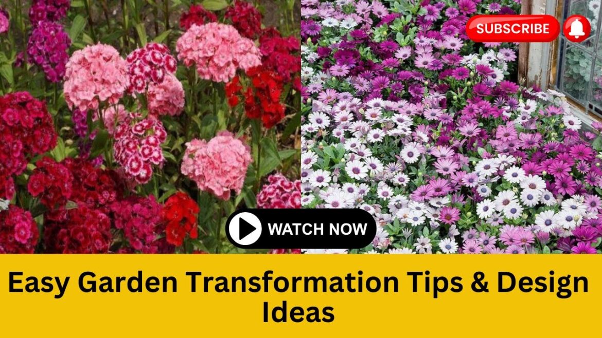 Create Your Haven with Garden Flowers | Easy Garden Transformation Design Ideas | Flower Power Create Your Haven with Garden Flowers | Easy Garden Transformation Design Ideas | Flower Power