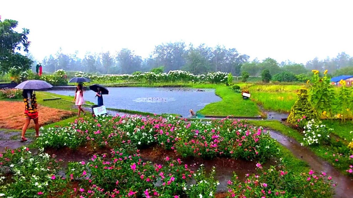 THE FRONT YARD GARDEN OF MAJESTIC MT. MAYON