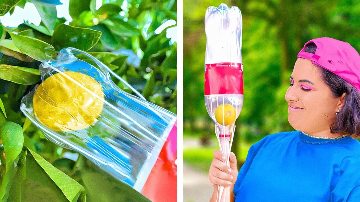 Useful Gardening Hacks And Gadgets That Will Simplify Your Life Useful Gardening Hacks And Gadgets That Will Simplify Your Life