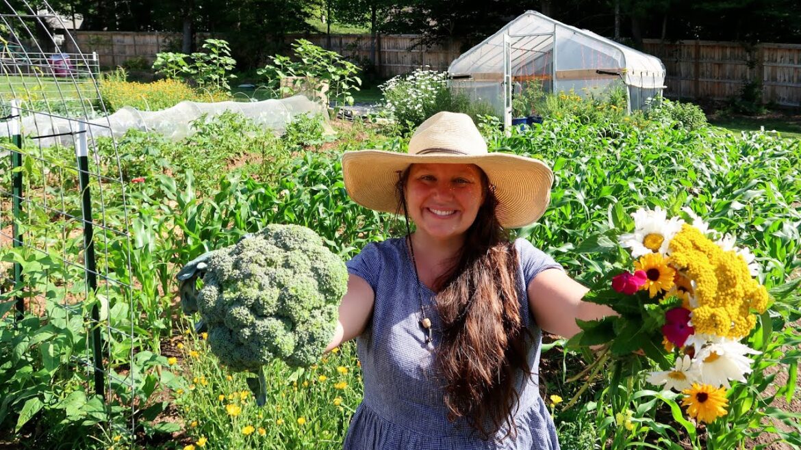 FIRST FULL GARDEN TOUR!- ORGANIC VEGETABLES AND FLOWERS-SUBURBAN GARDENING FIRST FULL GARDEN TOUR!- ORGANIC VEGETABLES AND FLOWERS-SUBURBAN GARDENING