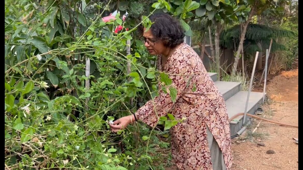 House with 1 Acre Garden (A Guided Tour of Lush Landscapes) – Part 3 House with 1 Acre Garden (A Guided Tour of Lush Landscapes) - Part 3