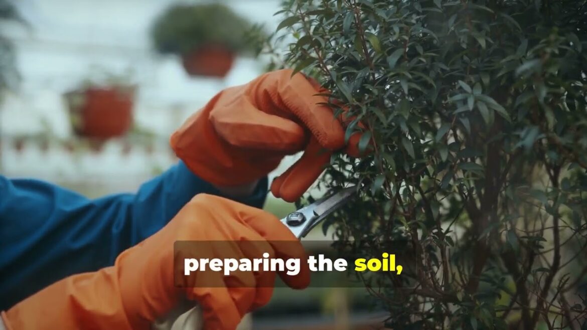 The Beauty of Bamboo Gardens Cultivating Graceful Greenery