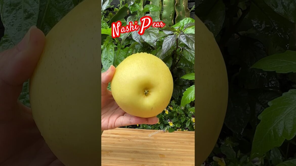 Fruit Cutting Nashi Pear 🍐😱 #shorts #satisfying #fruitcutting #fruit #enjoy #garden