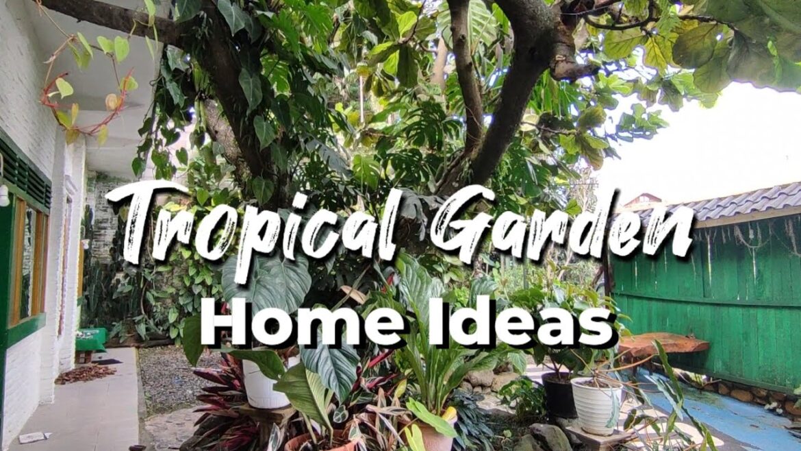 Modern Sideyard Landscape Design ideas || Beautiful Front yard garden house || Garden Patio Design |