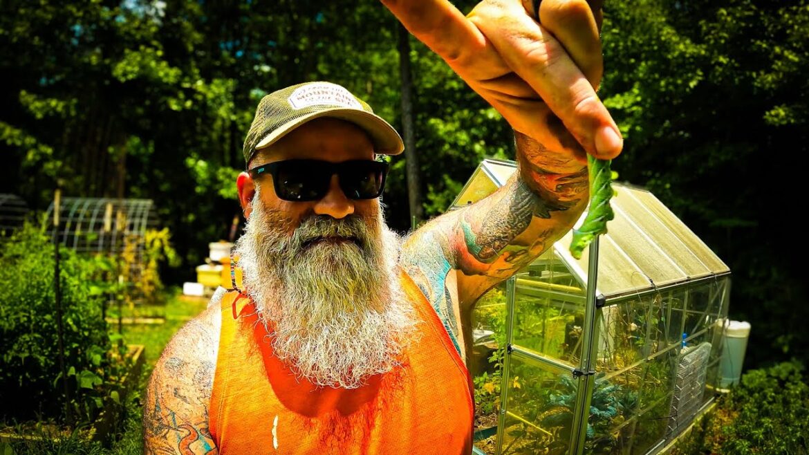 finding pests during our June garden tour