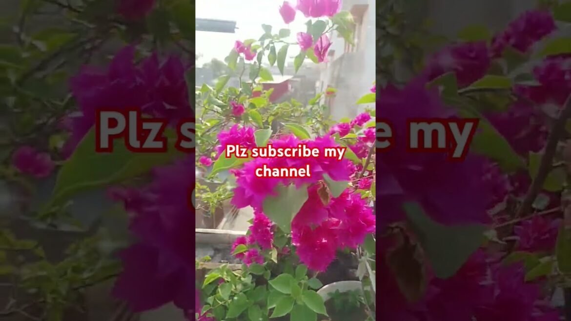 Gardening tips | useful gardening tips | #plants #gardningtips #gardening #terracegardning #viral