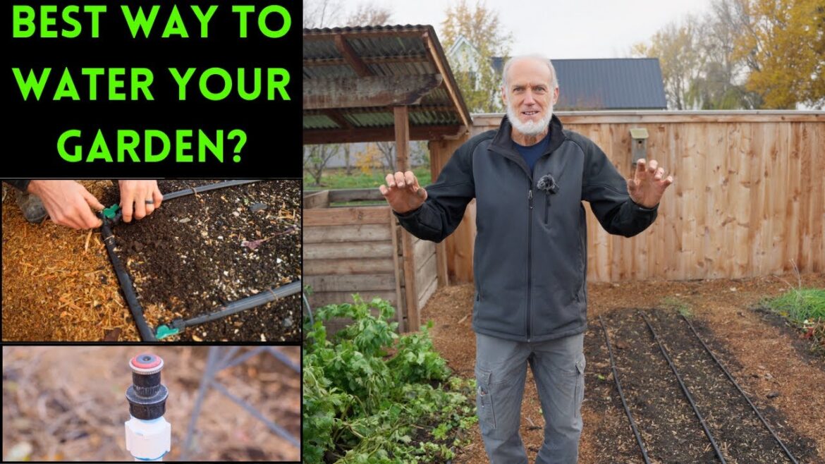 Drip vs. Overhead Watering - Why World Record Gardener Won't Use Overhead for Most Garden Crops