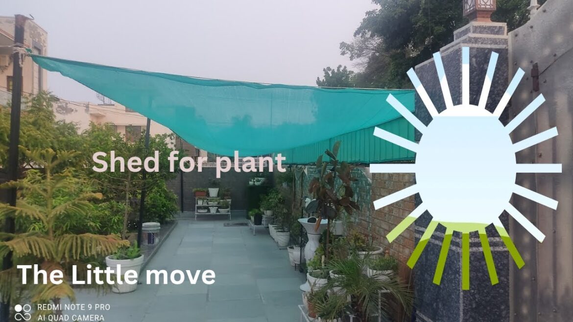 new garden ideas।#viral #shorts #gardendesign