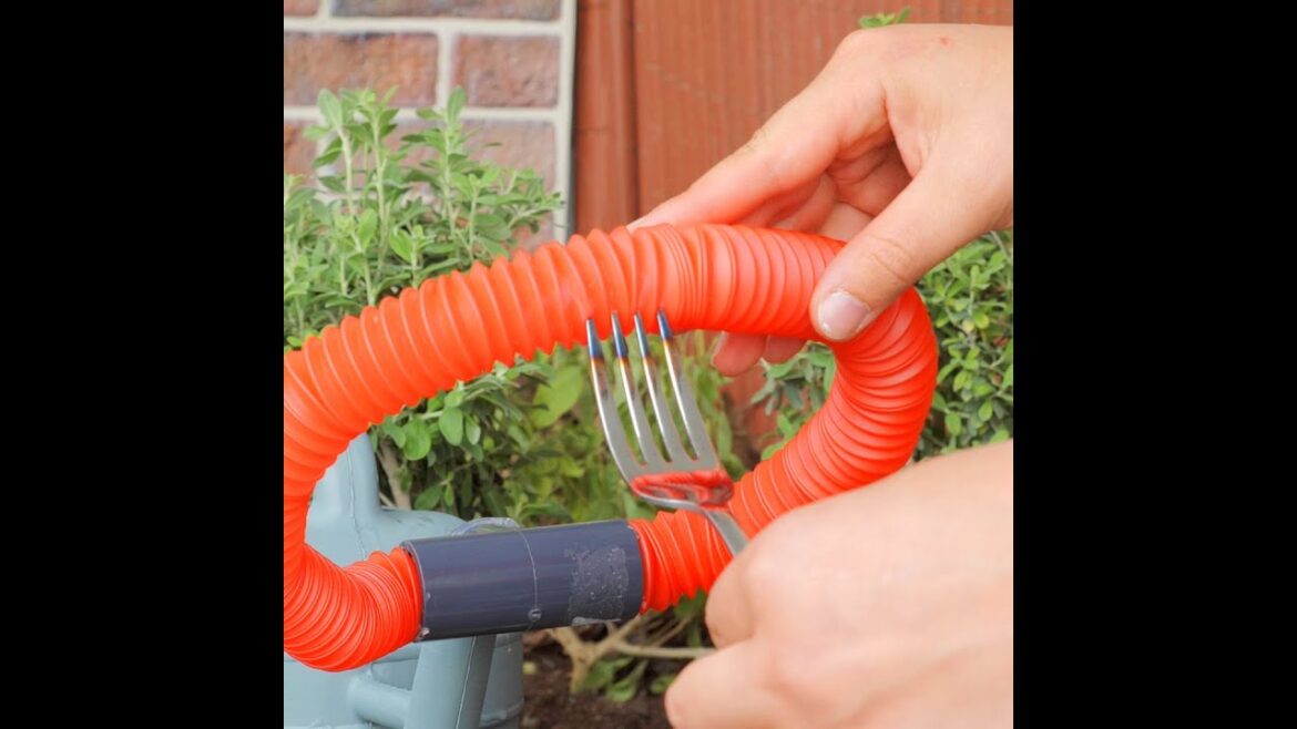 What to do if you want to have a beautiful garden ❤️