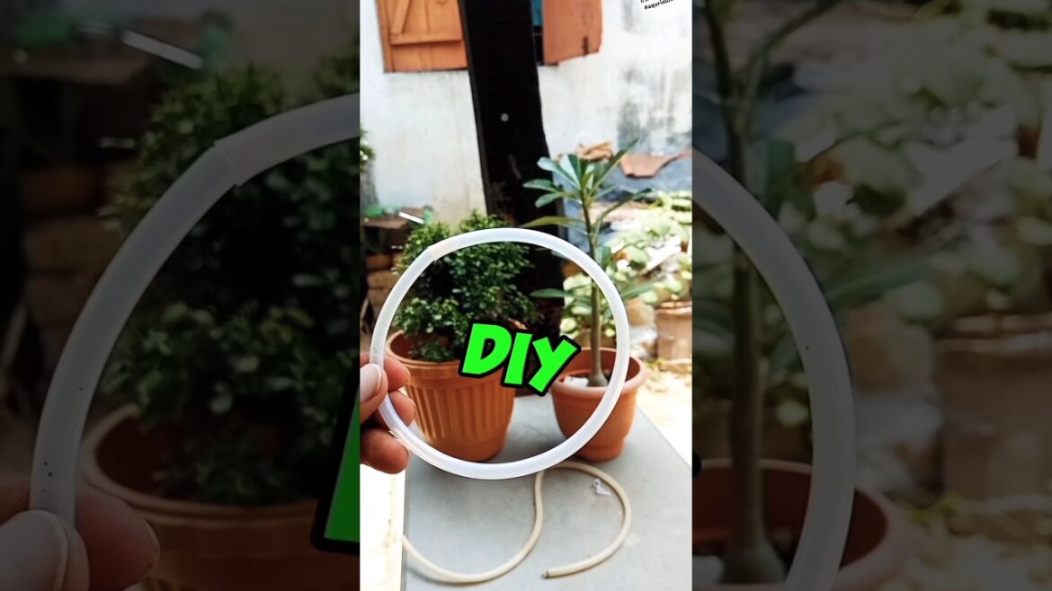 DIY fish feeding ring under 5rs. Making feed ring for guppy#shorts #aqurium #diy