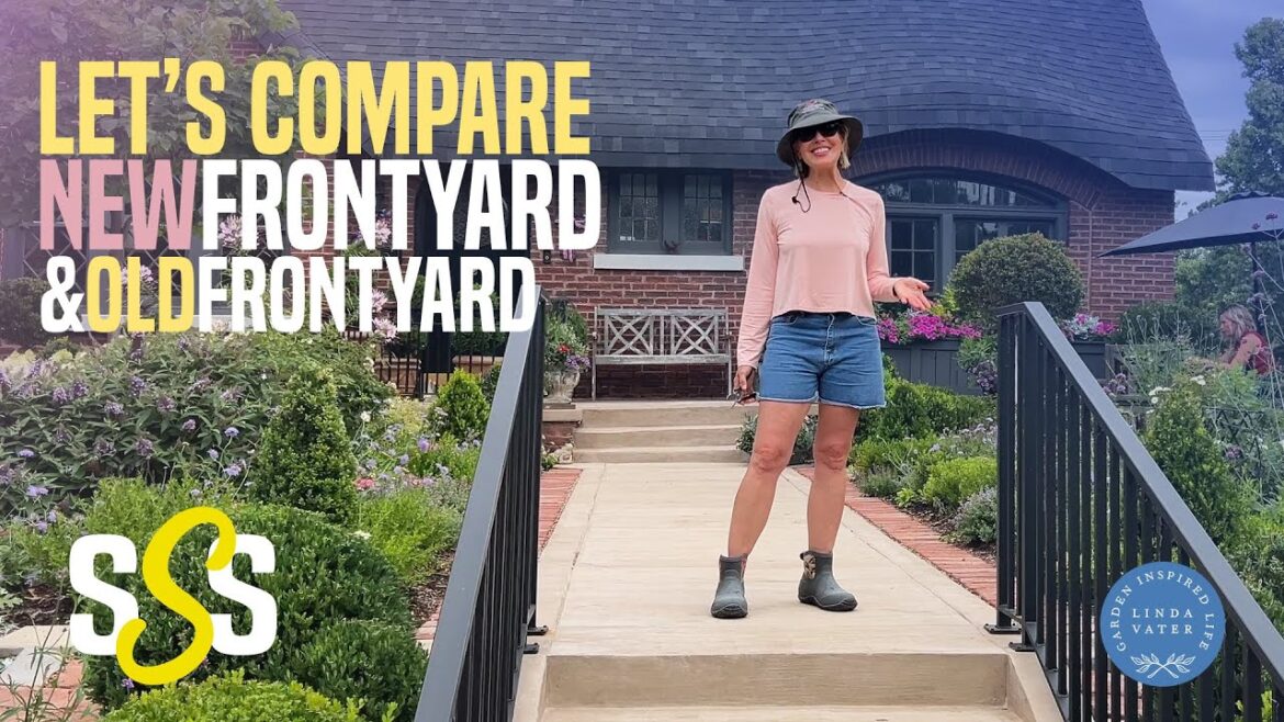 Let’s Compare My New Front Yard With My Old Front Yard