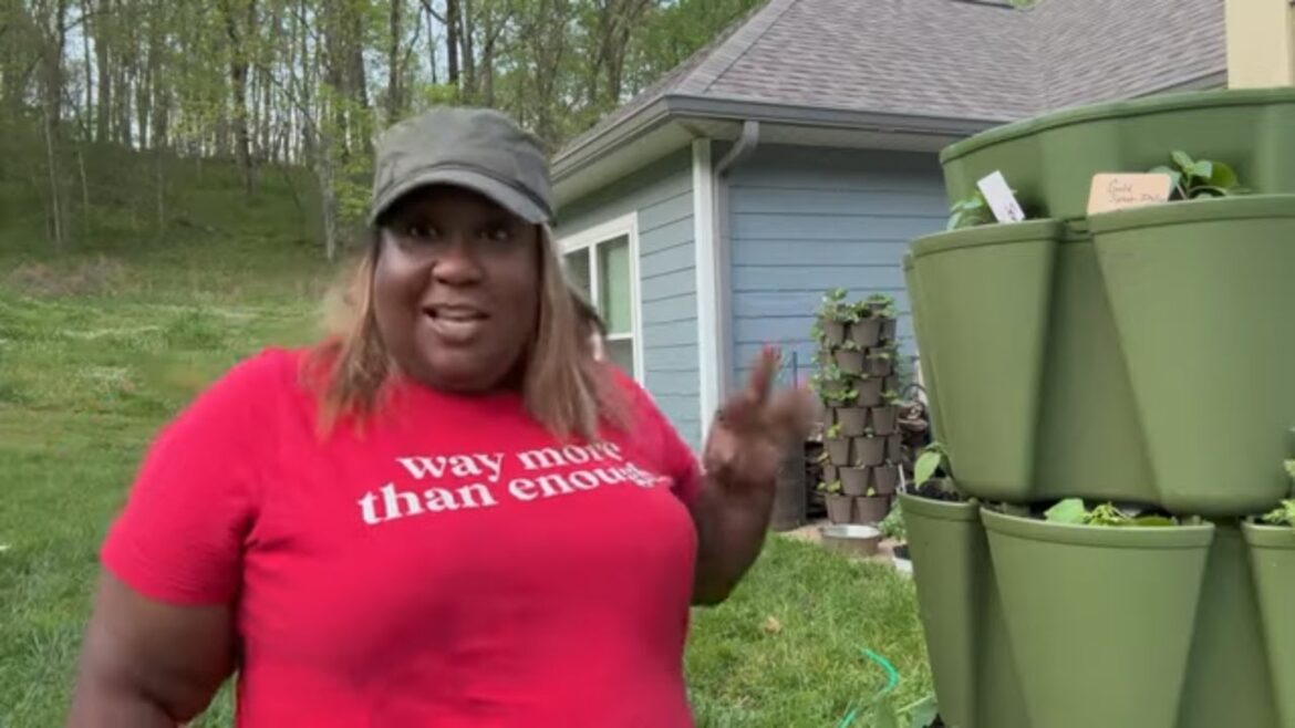 Setting up my 3rd Greenstalk!| Container Gardening