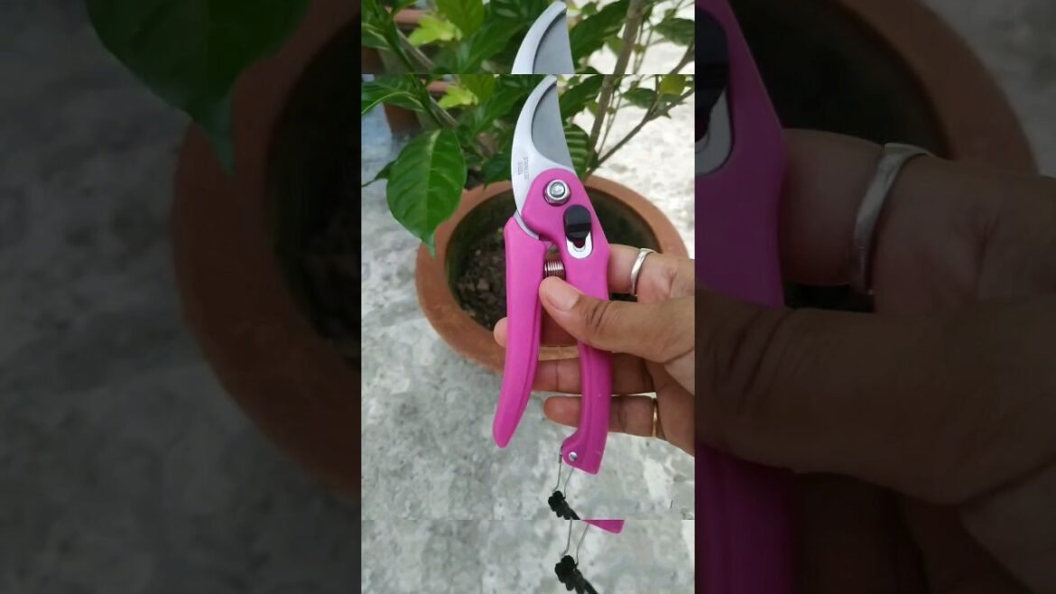 Gardening Tools|| plant cutting tools|| price||  #gardeningtools #pruner #shears #shorts