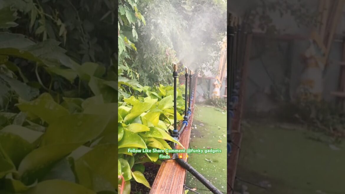 Easy to water your plants and flowers 🌹 🪴🌲🌳🌵🌴#shorts  #coolgadgets #gardening #gardeningtips #fypシ