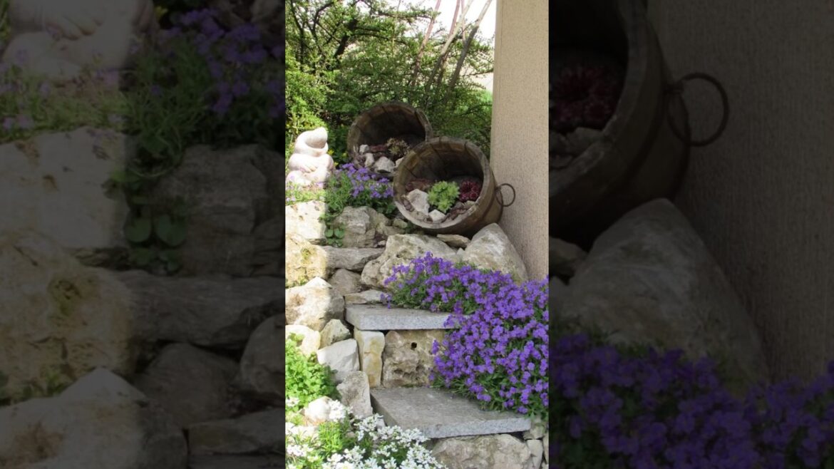 GARDEN ideas for home