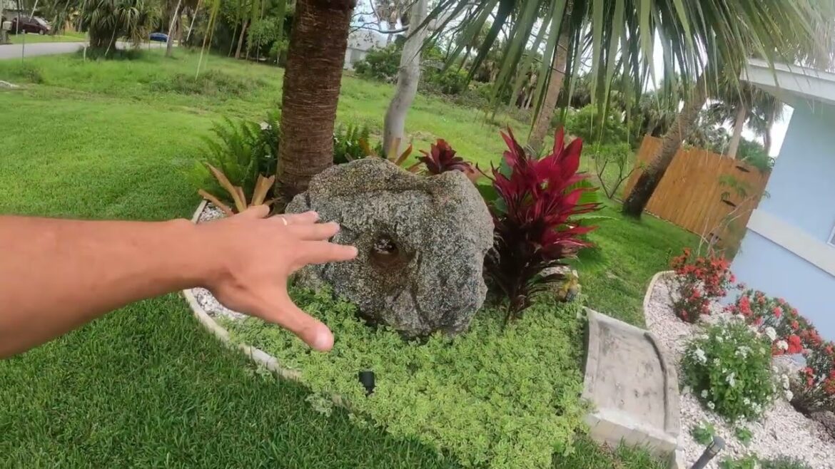 Front Yard Garden Tour Front Yard Garden Tour