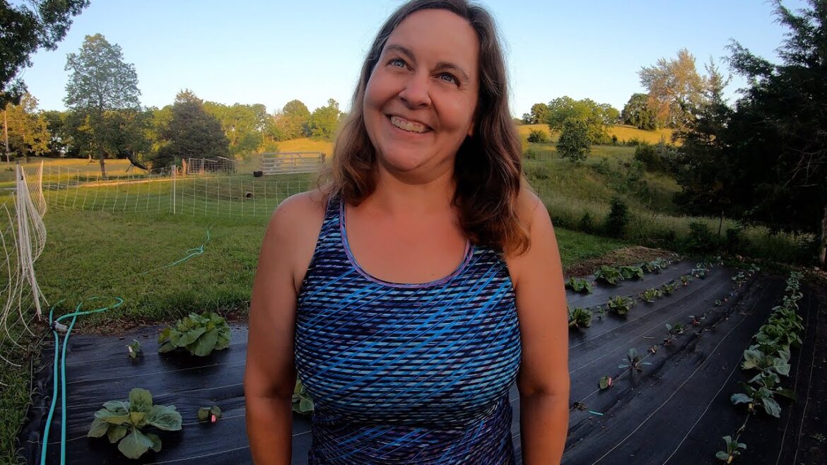 Garden Update Trellis and Future Plans