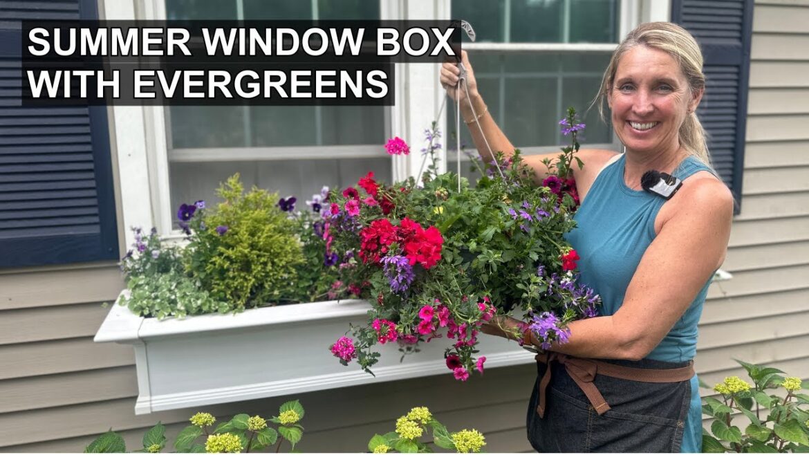 Style Your Window Box for Summer | Evergreen Window Box Design (2 of 4)