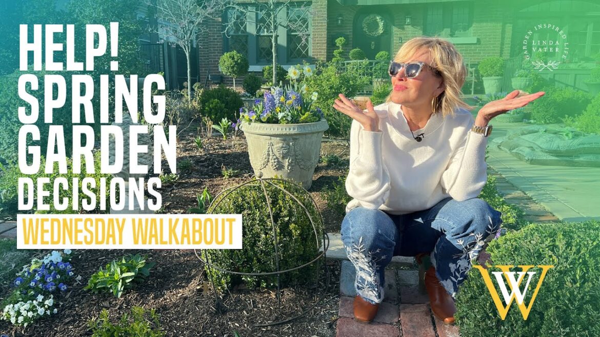 Help! Spring Garden Decisions I Need To Make Help! Spring Garden Decisions I Need To Make