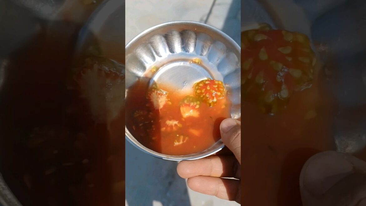 tomato 🍅 seeds #shorts #homegarden #vegetablegardening