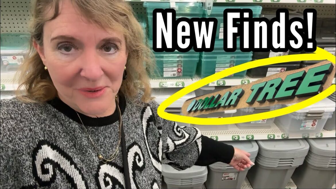 Dollar Tree $1-$5 New Items are GREAT Craft or Plant a Garden Raised Bed CHEAP Container Gardening