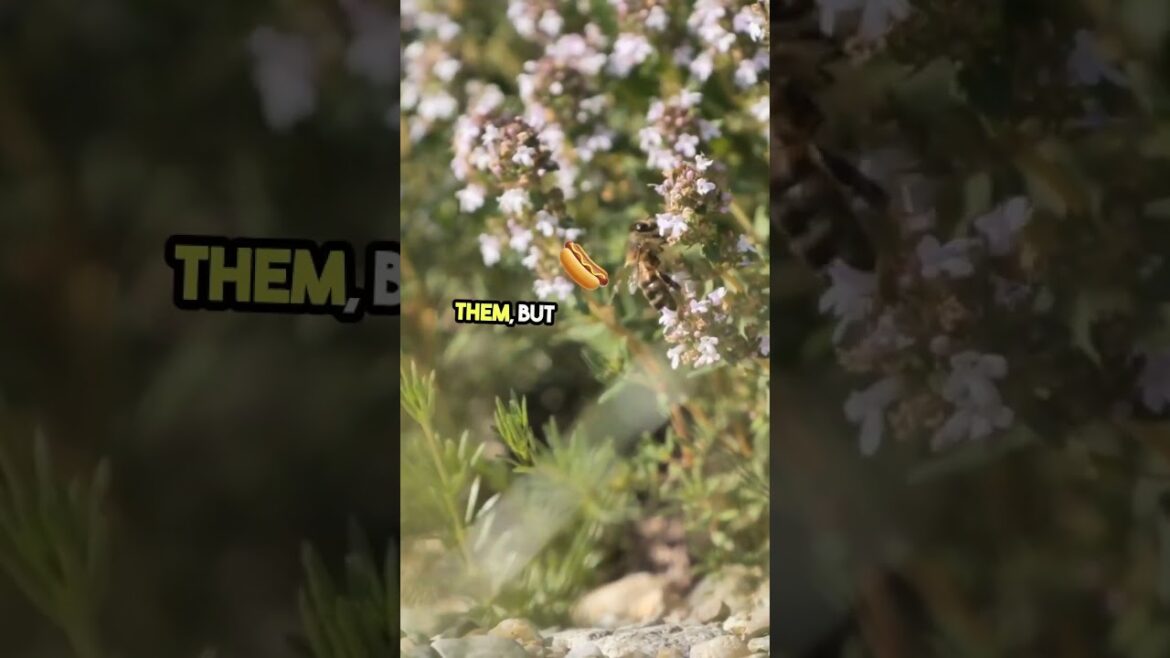 keep busy! #gardeningtips #gardengoals #gardening keep busy! #gardeningtips #gardengoals #gardening