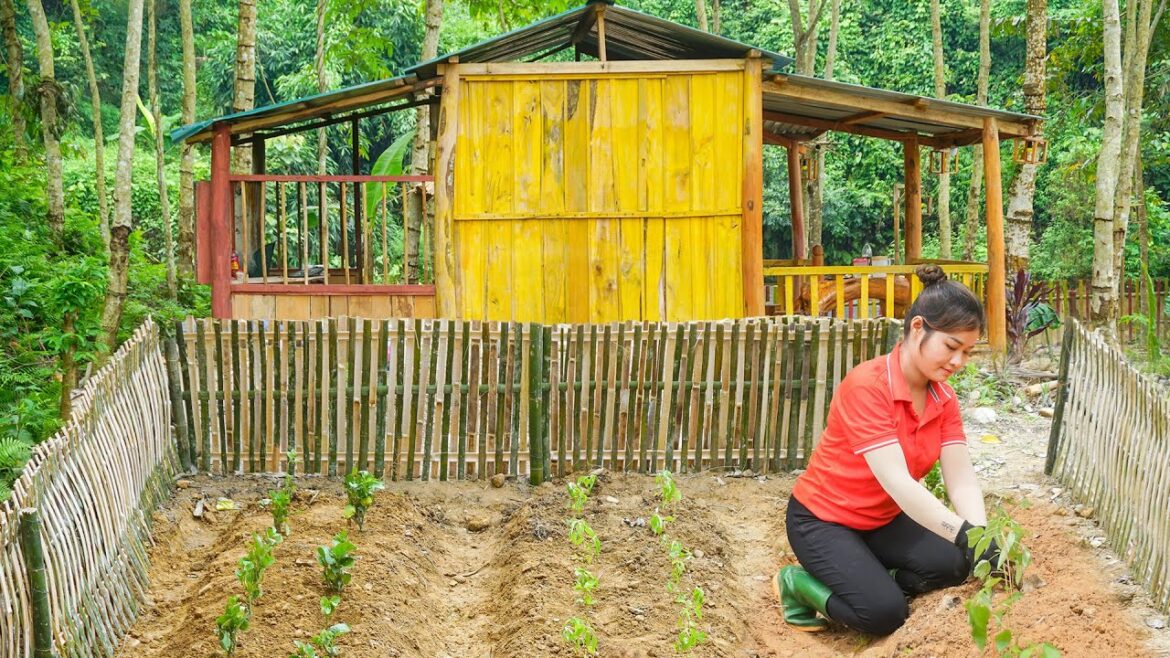 Vegetable gardening and sow seeds, grow bananas –Enjoy the sweet and fragrant jackfruit Vegetable gardening and sow seeds, grow bananas --Enjoy the sweet and fragrant jackfruit