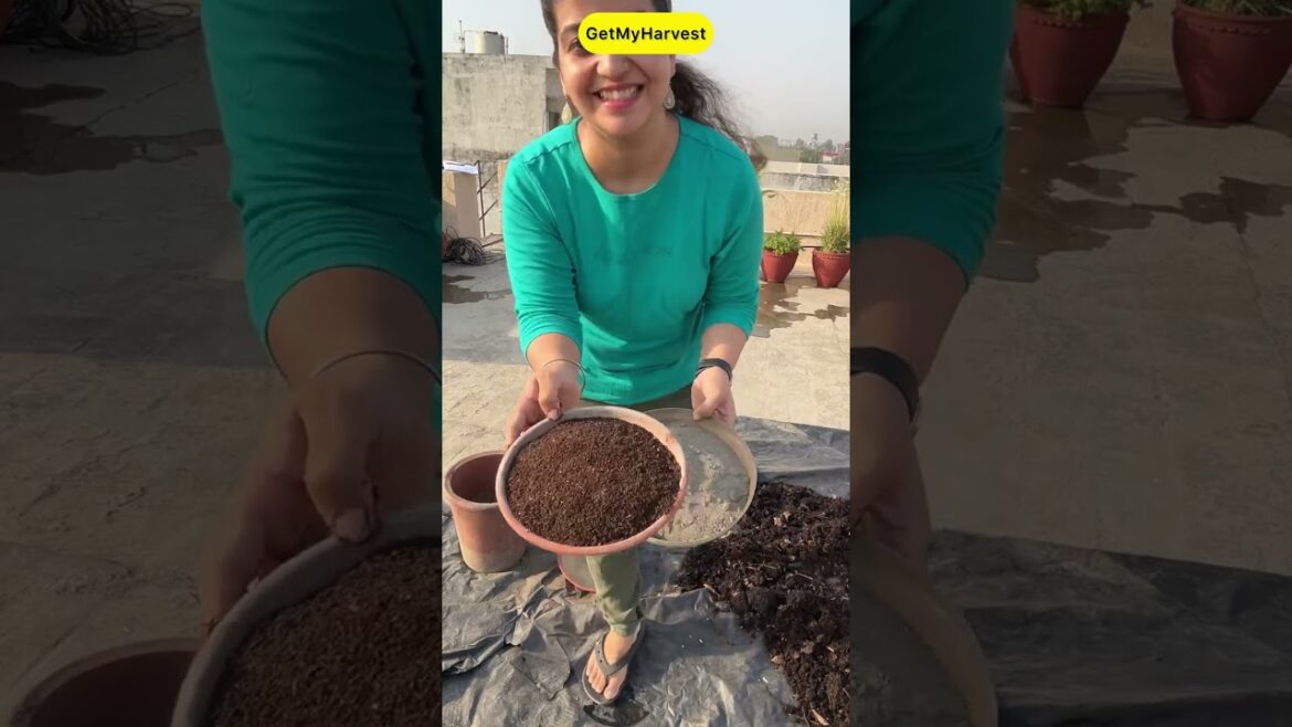 Soil mix recipe for monsoon vegetables and houseplants #organicgardening Soil mix recipe for monsoon vegetables and houseplants #organicgardening