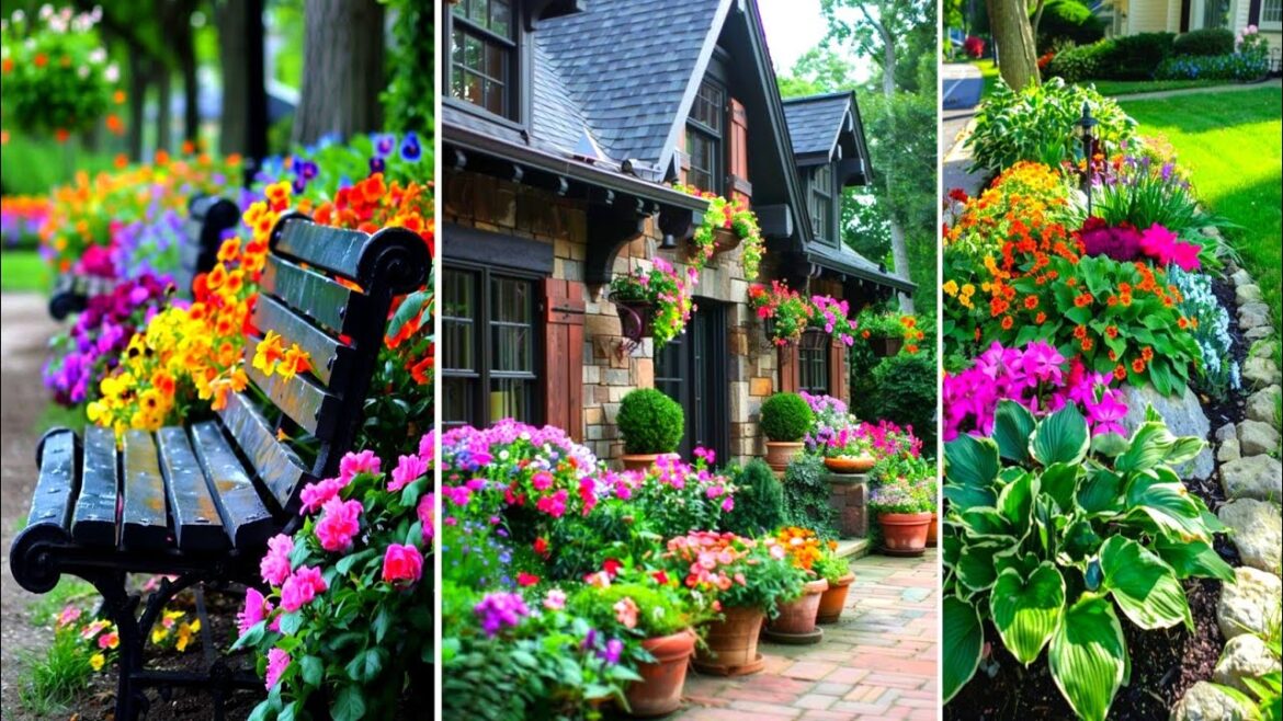 front yard landscaping ideas Enhance Your Landscape Like a Pro! 🌻Garden Border Ideas: front yard landscaping ideas Enhance Your Landscape Like a Pro! 🌻Garden Border Ideas: