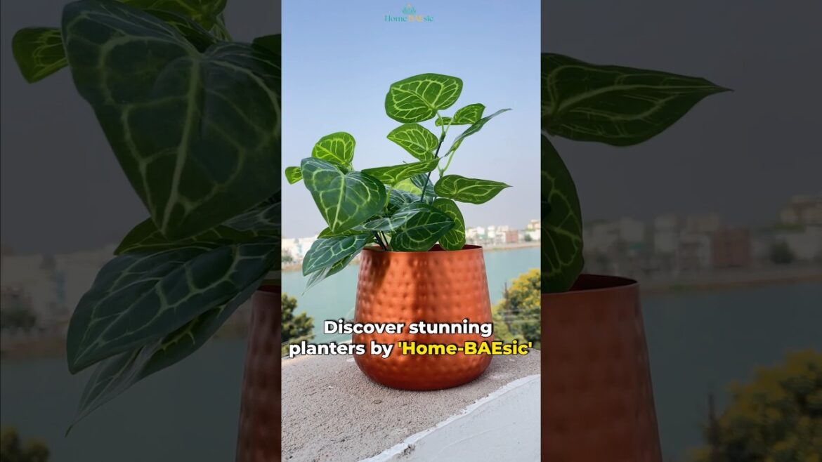 🏡✨ 𝐃𝐢𝐬𝐜𝐨𝐯𝐞𝐫 𝐒𝐭𝐮𝐧𝐧𝐢𝐧𝐠 𝐏𝐥𝐚𝐧𝐭𝐞𝐫𝐬! 😱 by Home BAEsic #homeandgarden #planters #gardening #interiordesign 🏡✨ 𝐃𝐢𝐬𝐜𝐨𝐯𝐞𝐫 𝐒𝐭𝐮𝐧𝐧𝐢𝐧𝐠 𝐏𝐥𝐚𝐧𝐭𝐞𝐫𝐬! 😱 by Home BAEsic #homeandgarden #planters #gardening #interiordesign