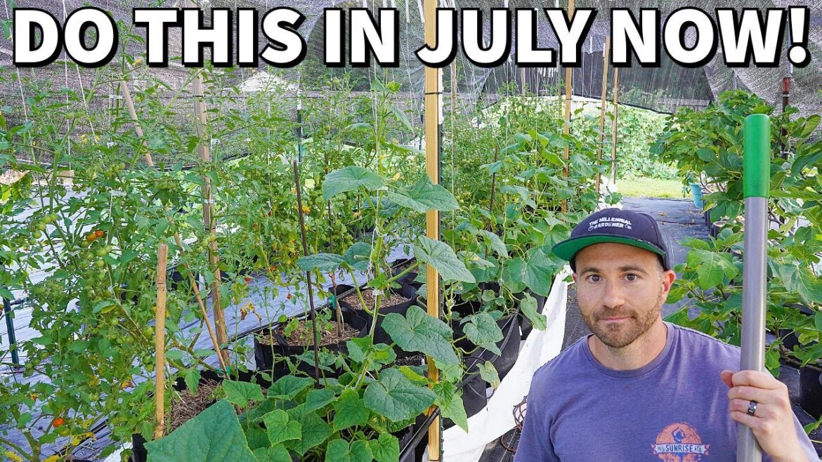 Urgent July Garden Tasks Every Gardener Should Do NOW Urgent July Garden Tasks Every Gardener Should Do NOW